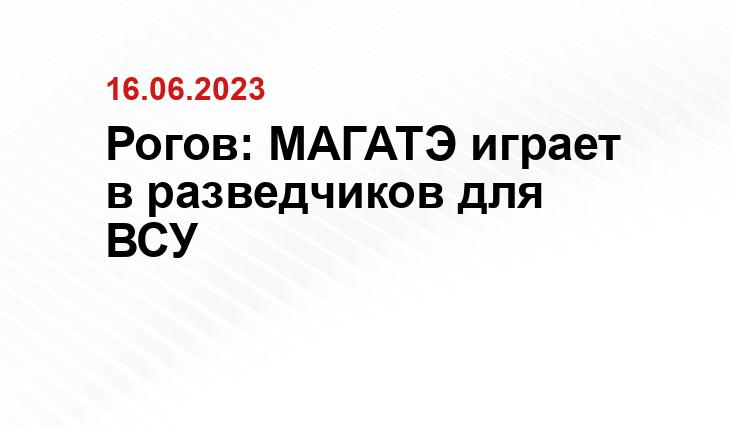 Рогов: МАГАТЭ играет в разведчиков для ВСУ