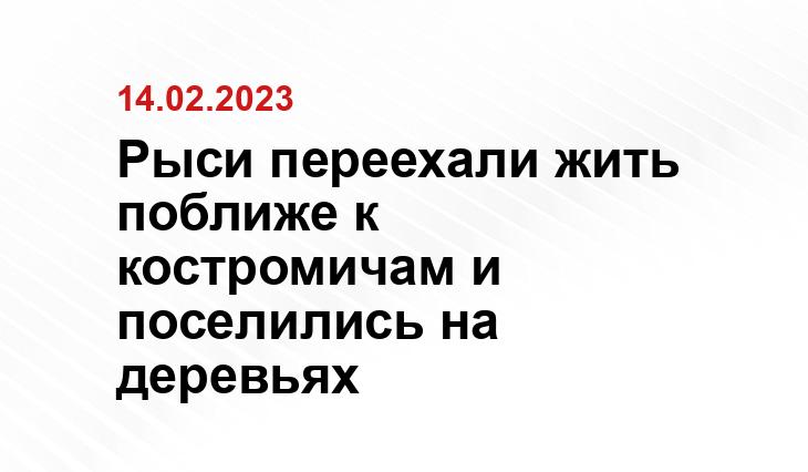https://kostroma.today/wp-content/uploads/2024/02/m8-qs73nj5pjum4vpi_m-sxr3jm5xdoazmogpbsdemfwgdt1ur_nezv66h3dmp-hxj96whgymkrf9pjmhewpfkd3-677x900.jpg