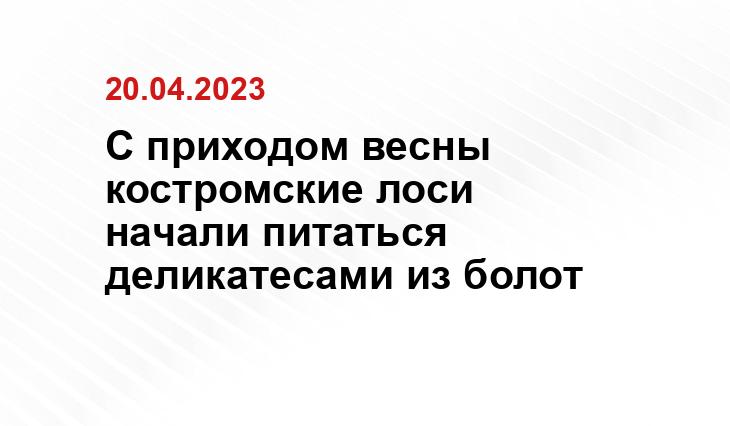 https://kostroma.today/wp-content/uploads/2024/04/screenshot_3-900x558.jpg