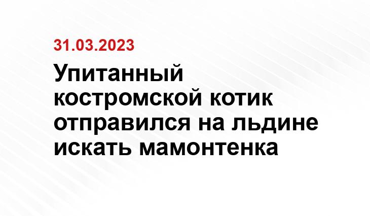 https://kostroma.today/wp-content/uploads/2023/03/screenshot_1288.jpg