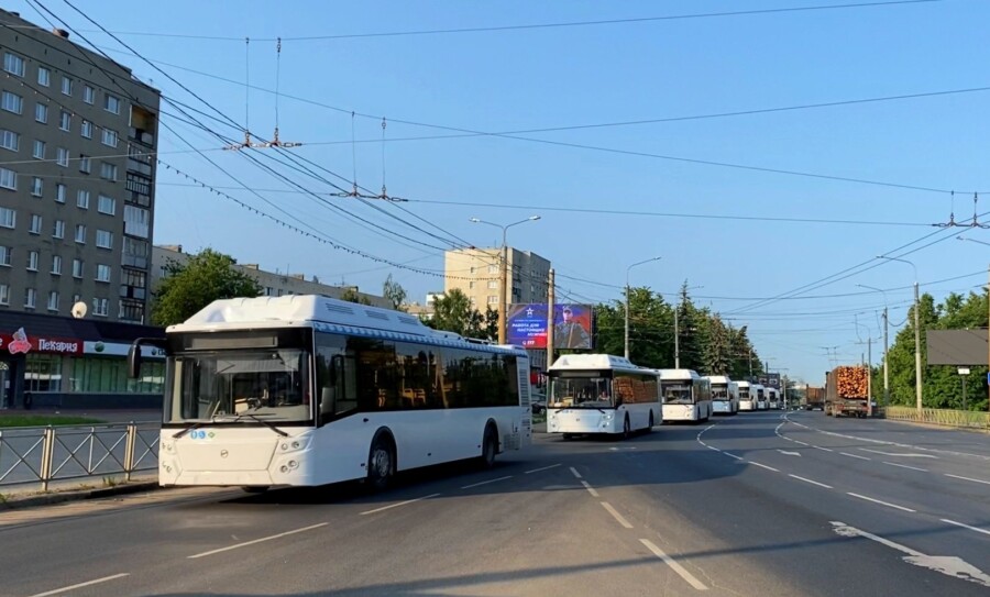https://kostroma.today/wp-content/uploads/2024/06/img_4632-900x543.jpg