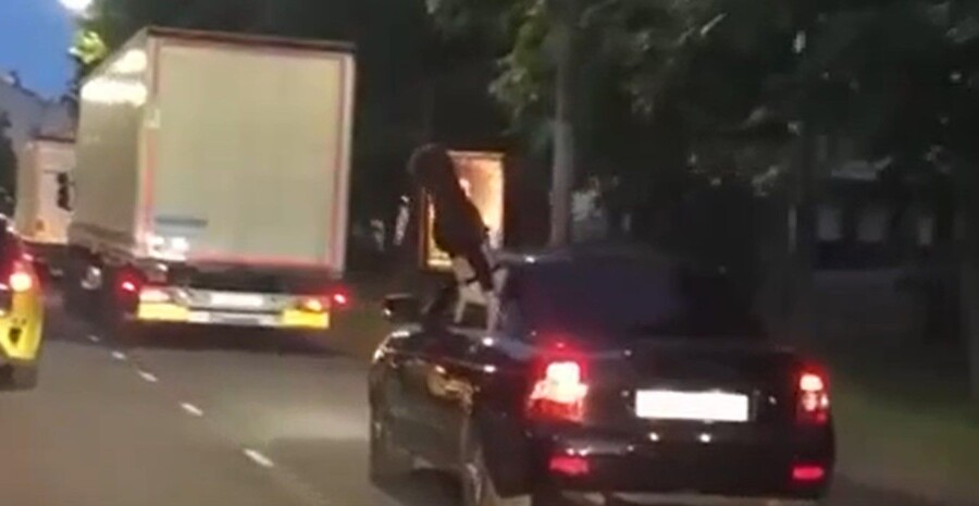 Попавшую на видео брюнетку оштрафуют за плохое поведение в машине https://kostroma.today/wp-content/uploads/2023/06/screenshot_1706-900x465.jpg