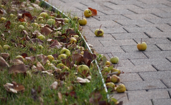 14 ноября — Осенние кузьминки: что можно и нельзя делать, чтобы не навлечь беды 14 ноября — Осенние кузьминки: что можно и нельзя делать, чтобы не навлечь беды